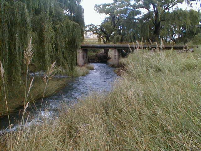 Royal Coachman Lodge Clarens