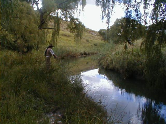 Lodge Royal Coachman Clarens