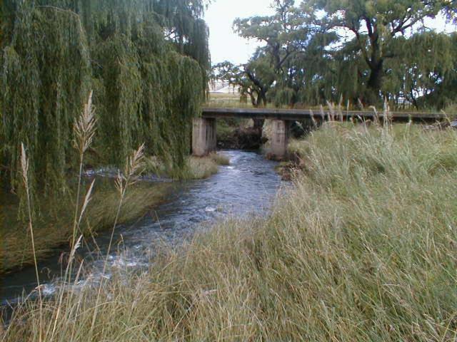 Royal Coachman Lodge Clarens