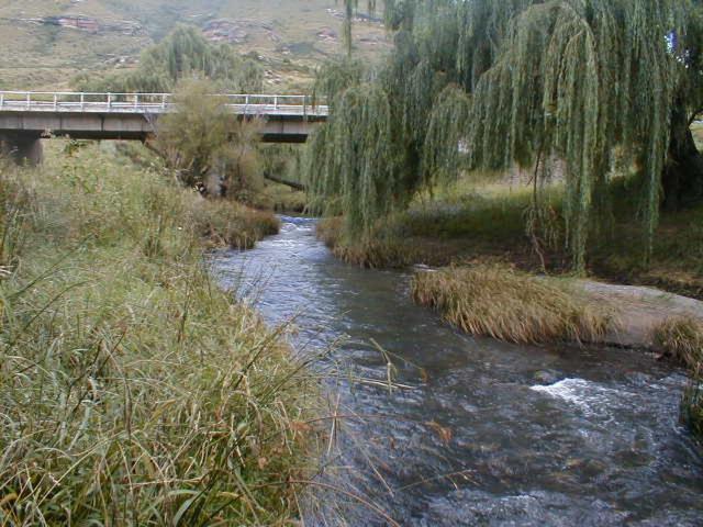 Royal Coachman Lodge Clarens