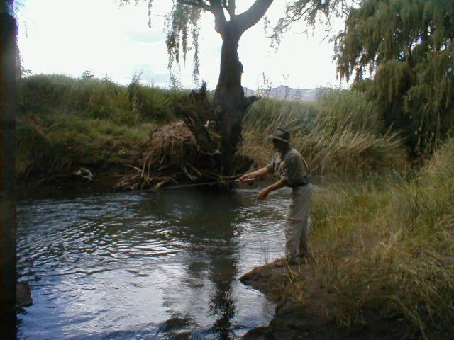 Royal Coachman Lodge Clarens