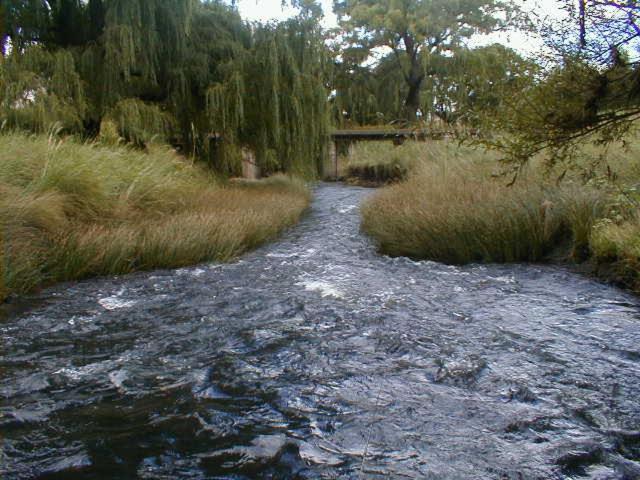 Royal Coachman Clarens