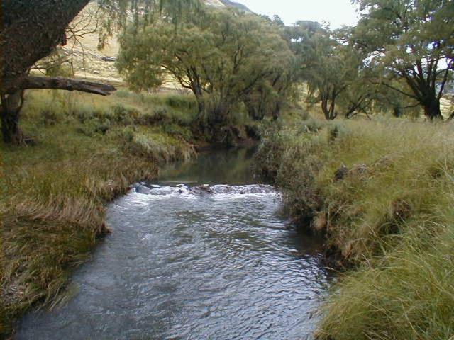 Royal Coachman Lodge Clarens