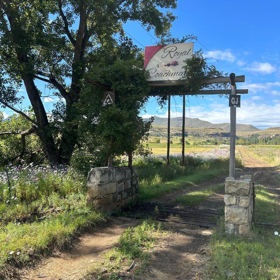 Royal Coachman Clarens